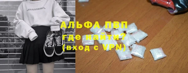 твердый Арсеньев