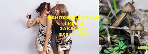 твердый Арсеньев