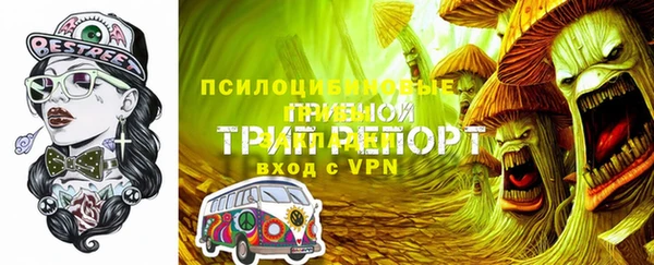 твердый Арсеньев